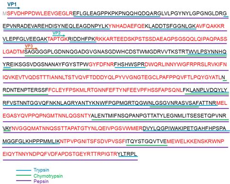 Sequence Coverage Map Of Aav Capsid Proteins Vp And By