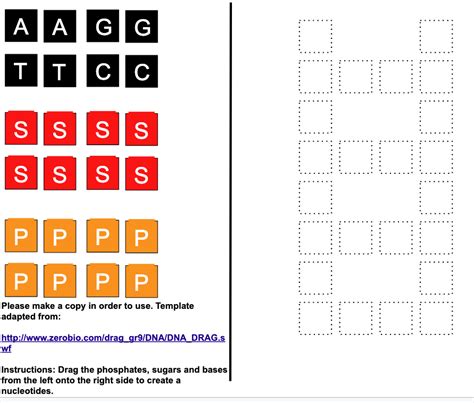 DNA Model Template | Teachers Share