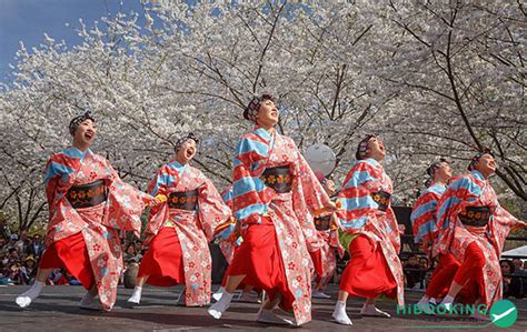 10 điểm ngắm hoa anh đào tuyệt đẹp tại Tokyo