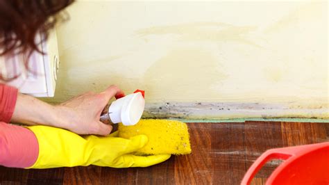 How To Remove Mould From Walls Without Damaging Paint Homebuilding