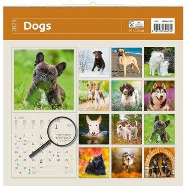 Kalender Helma X Cm Honden Bij Rosenboom