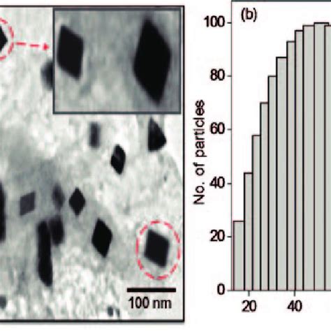 TEM Images And DLS Particle Size Distribution Of A And B AgNP 1 And