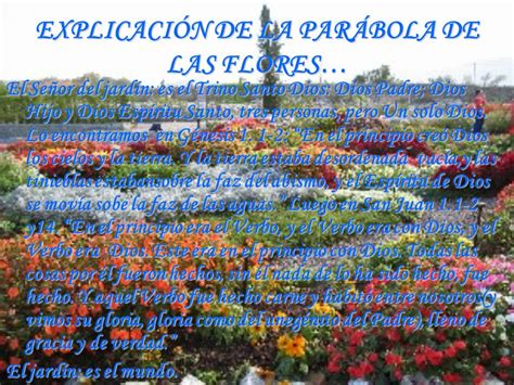 Las Flores Del Jardin De Dios