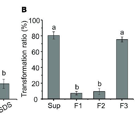 Preliminary Analysis Of The Metabolite Transforming Aflatoxin B 1