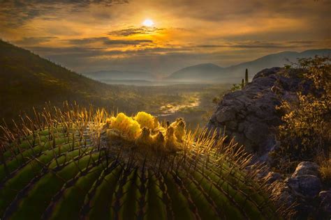 Por Qu Es Tan Especial La Reserva De La Bi Sfera Tehuac Ncuicatl N