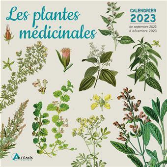 Calendrier les plantes médicinales 2023 broché Collectif Achat