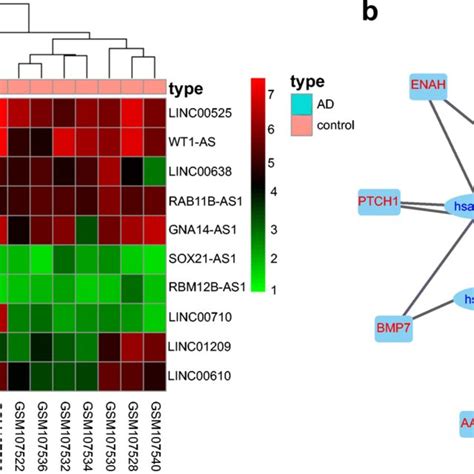 SOX21 AS1 May Target FZD3 5 Gene To Mediate Wnt Signaling Pathway And