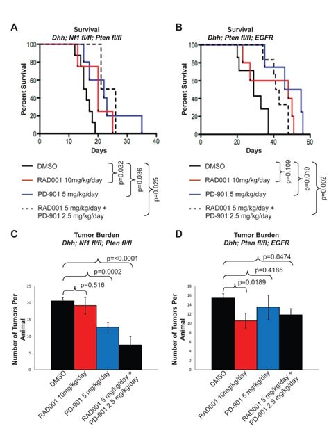 A Kaplan Meier Survival Curve Of The NF1 Asociated MPNST Mouse Model