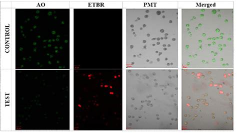 Figure 1 From Evaluation Of Cytotoxic Potential Of Classical Siddha