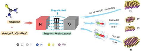 Schematic Illustration Of The Synthesis Route Of Mos2 With Pure Or Download Scientific Diagram