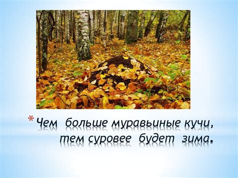 Приметы осени - презентация онлайн