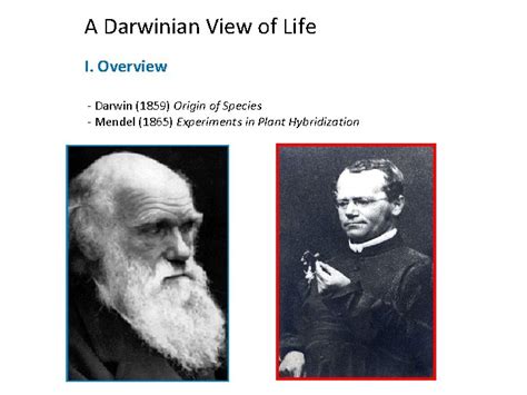 darwinian view  life  overview darwin