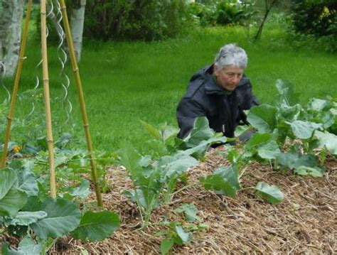 A Exireuil Un Jardin Ouvert Ce Week End