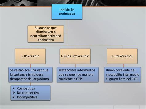 Metabolismo de los fármacos fase ii PPT