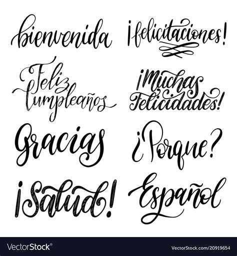 Translated From Spanish Handwritten Phrases Vector Image