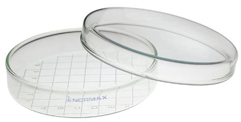 Normax Petri Dish With Grid