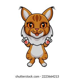 Cute Maine Coon Cat Cartoon Stock Vector Royalty Free 2223664213