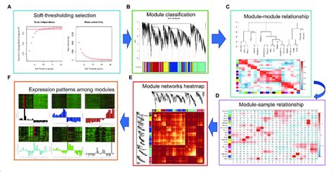 Wgcna Analysis A Soft Threshold Selection B Module Hierarchical