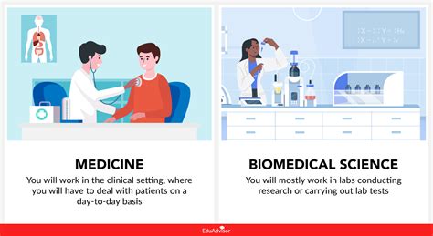 Medicine Vs Biomedical Science Whats The Difference