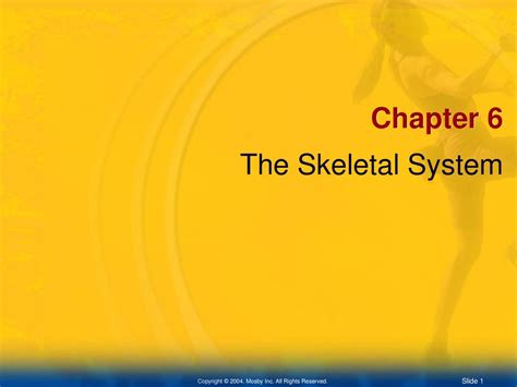 Chapter 6 The Skeletal System Chapter 6 The Skeletal System Ppt