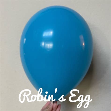 Robin S Egg Blue 11 Inch Latex Balloon Qualatex USA Made Robin S Egg