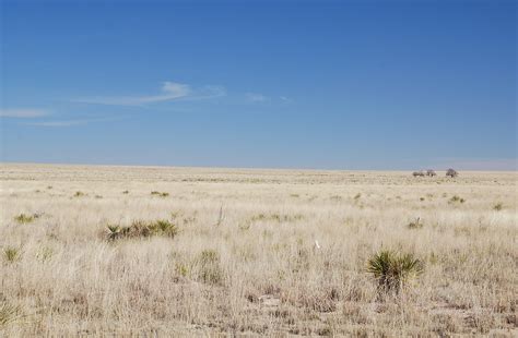 Shortgrass Prairie