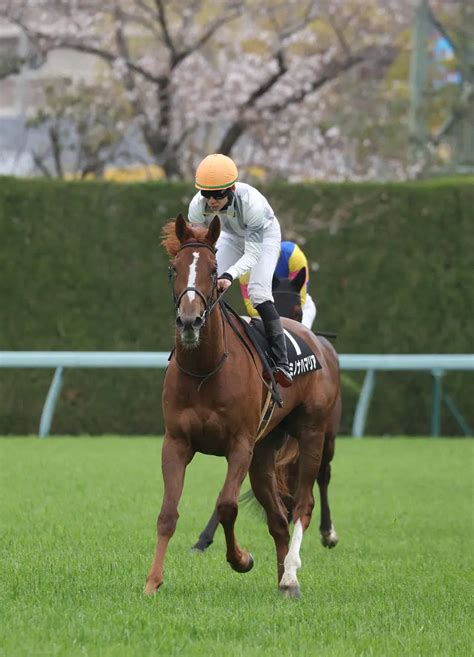 【フローラs】キミノナハマリア 君子蘭賞3馬身差完勝からまだ上積みあり スポニチ競馬web