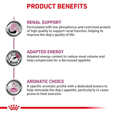 Canine Renal Support D Thin Slices In Gravy Royal Canin Us