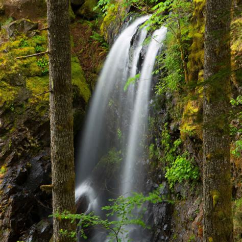 Top Waterfall Trails In The Willamette Valley Travel Oregon