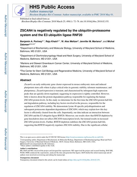 PDF ZSCAN4 Is Negatively Regulated By The Ubiquitin Proteasome System