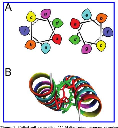 Figure From A Basis Set Of De Novo Coiled Coil Peptide Oligomers For