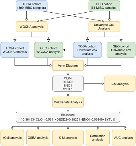 Exploration Of Prognostic Biomarkers Of Muscle Invasive Bladder Cancer