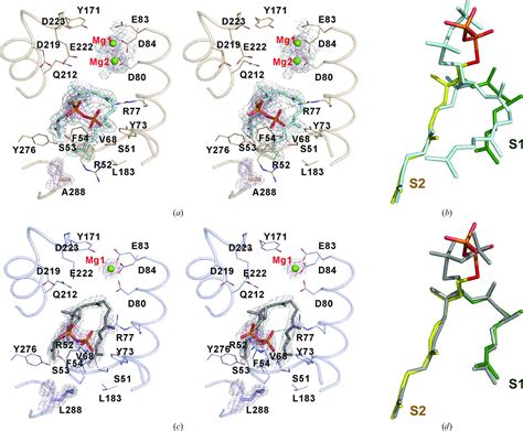 Iucr Structural Insights Into The Catalytic Mechanism Of Human