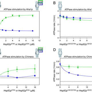 The E A Mutation Blocks Aha Pn Mediated Conformational Changes In