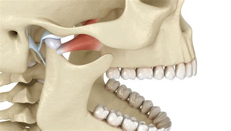 Abces Dentar Clinica Stomatologie Dr Zgarcea