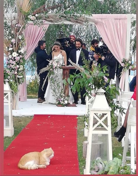 Bastidores Do Ltimo Dia De Grava O De Ada Masali Cena Do Casamento