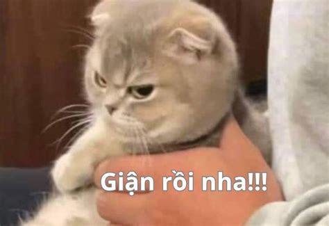 Trọn Bộ Meme Dỗi Cute Dỗi Người Yêu Hài Hước Ngọt Ngào