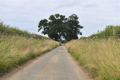 Wicken Green Village London Lane Michael Garlick Geograph Britain