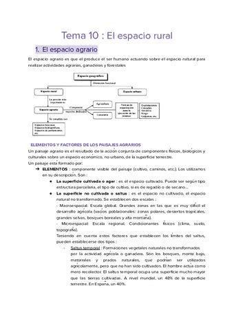 Tema 10 El Espacio Rural Pdf