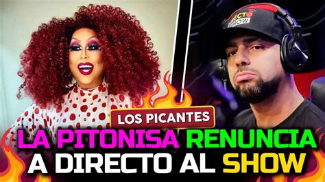 La Pitonisa Anuncia Su Renuncia De Directo Al Show Vive El