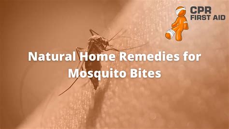 Cure Mosquito Bites Home Remedy