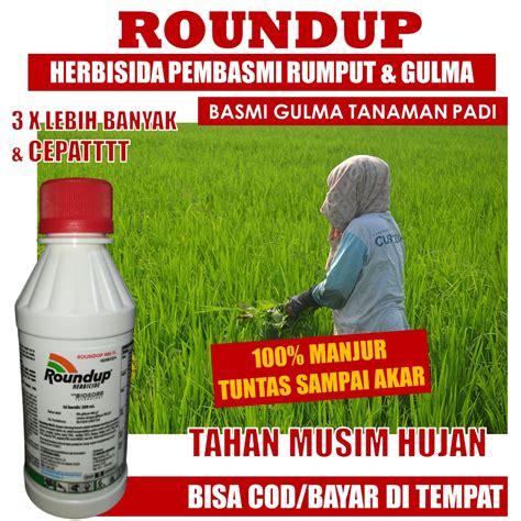 Roundup Ml Pembasmi Rumput Liar Dan Gulma Padi Jagung Tebu Cabe