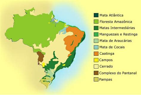 Profivonete Forma Es Vegetais Do Brasil