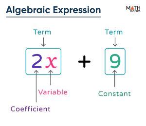 Algebraic Expression - Definition, Examples, Parts, & Formulas