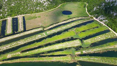 The Neretva Valley Is The River Delta Of The Neretva A River That