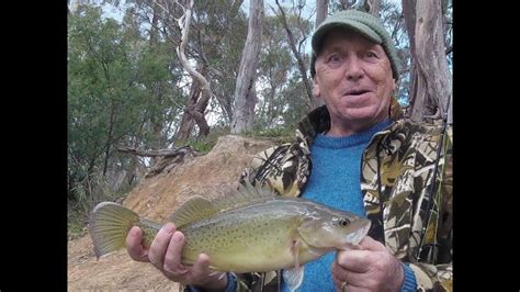 Murray Cod Fishing Murray River Cobram Victoria Youtube