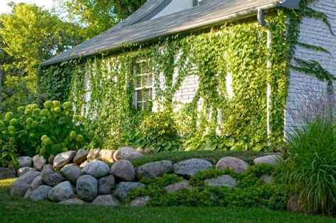 Boulder Retaining Wall Things You Should Know Yardworship