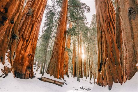 20 BEST California National Parks Ranked (Best to Worst)