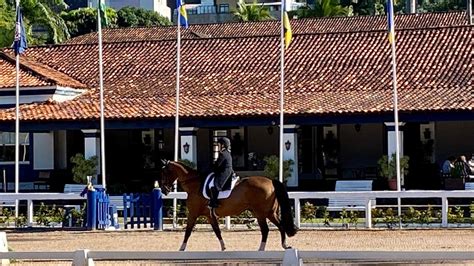 Jovens Se Destacam No Campeonato Carioca De Adestramento Adestramento