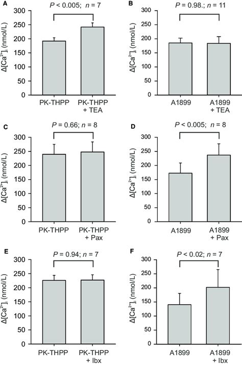 Summary Of Effects Of Combinations Of K Channel Inhibitors On